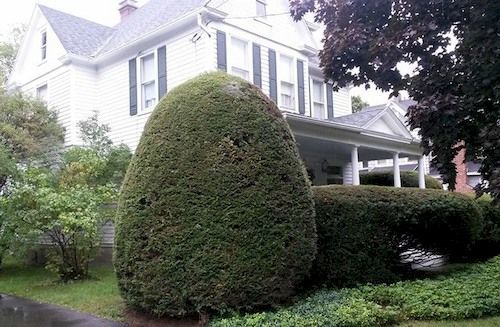 Park House Bed & Breakfast ジョンソン・シティ エクステリア 写真